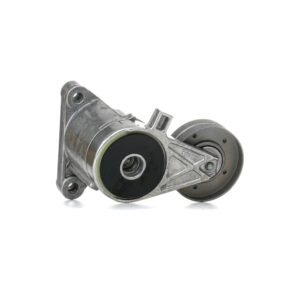 Shpan kushineta e alternatorit për Volvo V70, S70, S80 2.5 D 95-