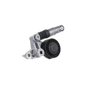 Shpan kushineta e alternatorit (me amortizer) për Audi A4, A5, A6, Q8 3.0 TDI 2007-