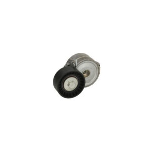 Shpan kushineta e alternatorit për Ford Focus, Monder, Galaxy, Peugeot 407, 807 2.2 D 2006-