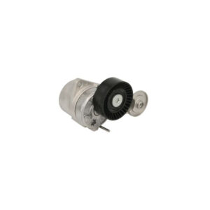 Shpan kushineta e alternatorit për Volvo S60, S80, V70, XC70, XC90 2.4 D 2001-