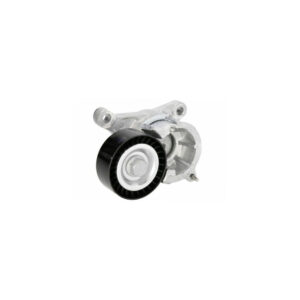 Shpan kushineta e alternatorit për Peugeot 206, 307, 407, Fiat Scudo, Citroen C5 2.0 16V 2000-