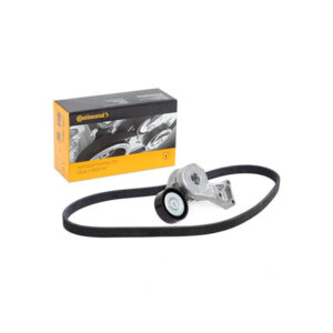 Kushineta e alternatorit dhe remenica me rryp për Volkswagen Golf 4, Audi A3, Skoda Octavia 1.9 TDI 2000-