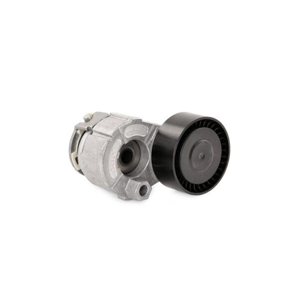 Shpan kushineta e alternatorit për Renault Clio, Megane, Kangoo 1.5 DCI 2003-