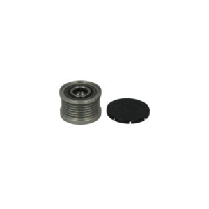 Remanica e alternatorit për BMW E46, E87, E90, E60 1.6 / 2.0 B 2000-(AP9008)