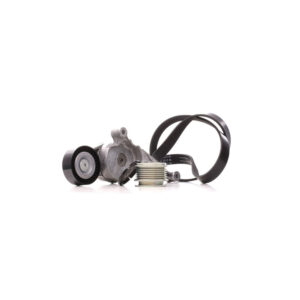 Shpan kushineta e alternatorit, rripi, remenica për Volkswagen Golf 5, Passat, Audi A3 1.9 / 2.0 TDI 2003-