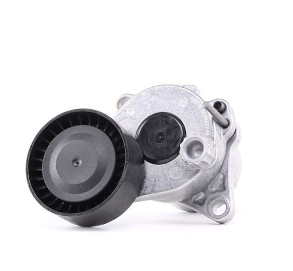 Shpan kushineta e alternatorit për Mercedes-Benz Sprinter 313 / 316 CDI 2009- - Image 2