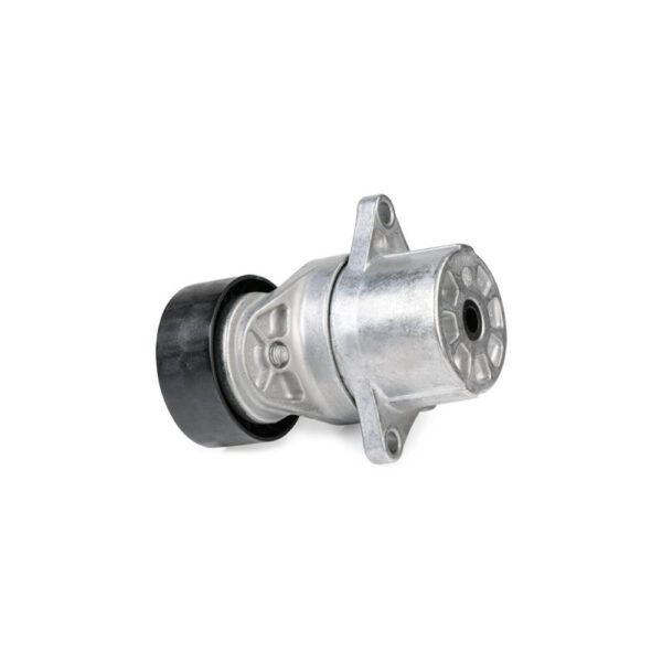 Shpan kushineta e alternatorit për Mercedes-Benz Sprinter 313 / 316 CDI 2009-